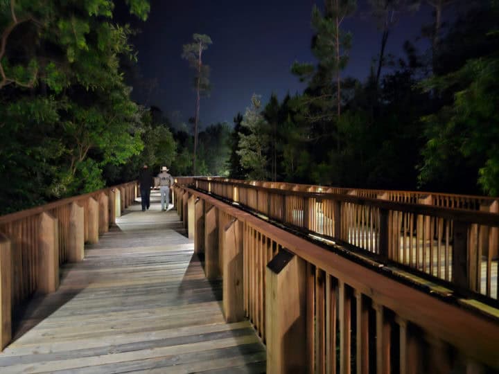 boardwalk with two people walking on it next to trees at night