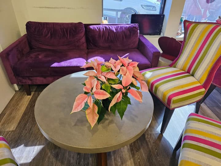 purple couch next to colorful striped chairs and a table