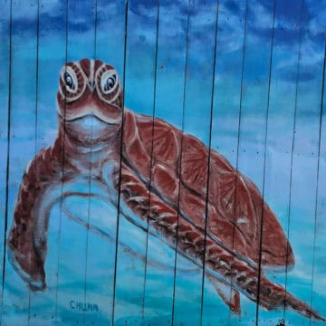 sea turtle mural on a fence
