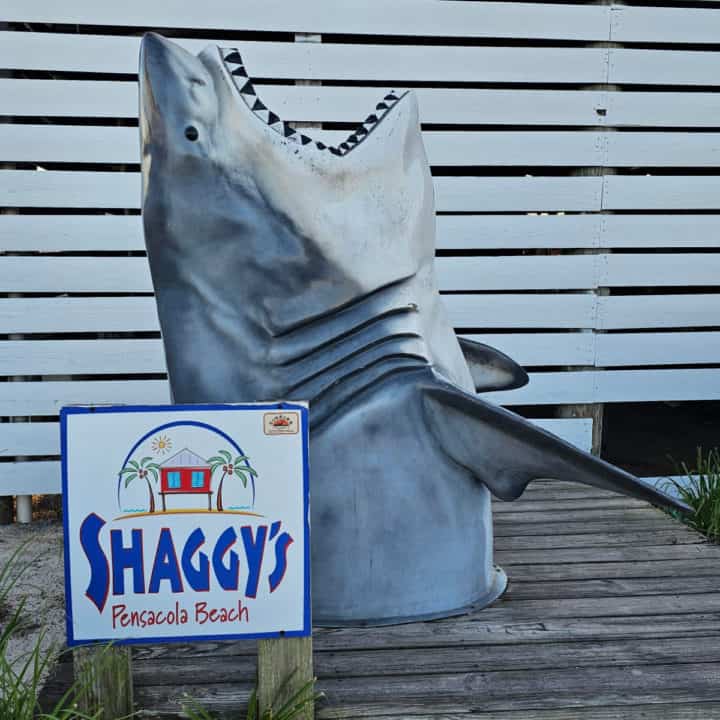 Shark statue next to a Shaggy's Pensacola Beach Sign