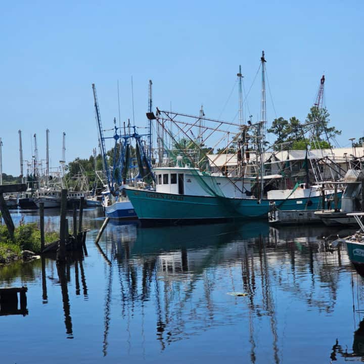 Shrimp boats in a marina on the water