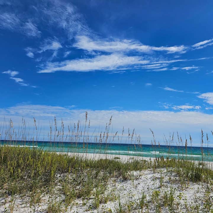 Blue sky over turquoise water with sea grasses on sand dunes