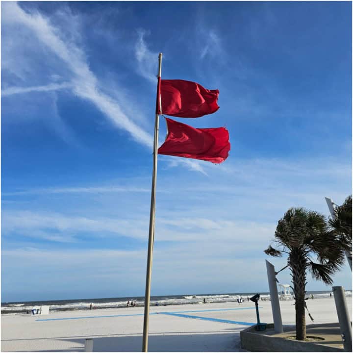 Double Red Flags on a pole near palm trees, the beach and Gulf of Mexico with blue skies