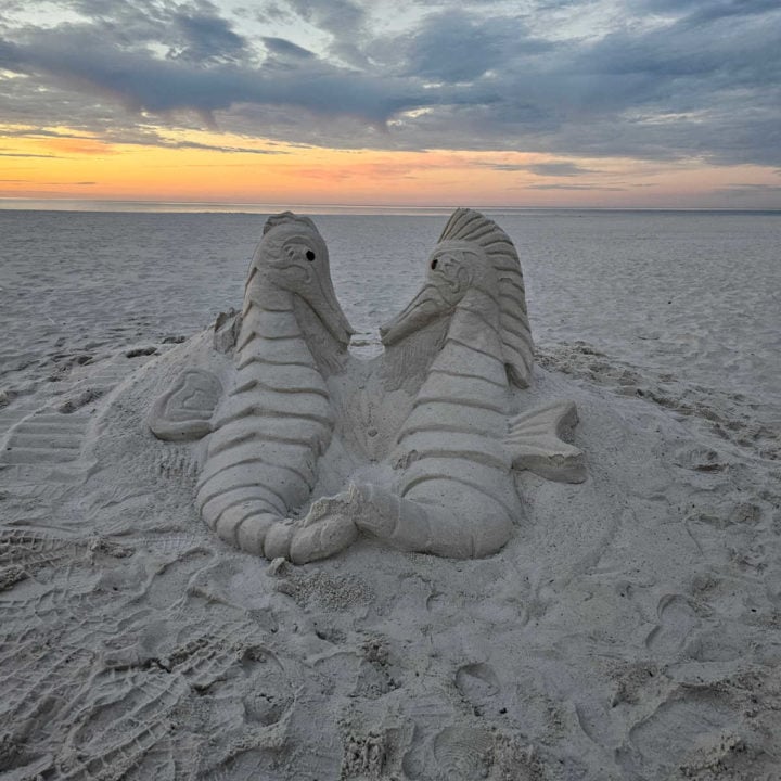 Seahorse sandcastle sculpture with sunset in the background