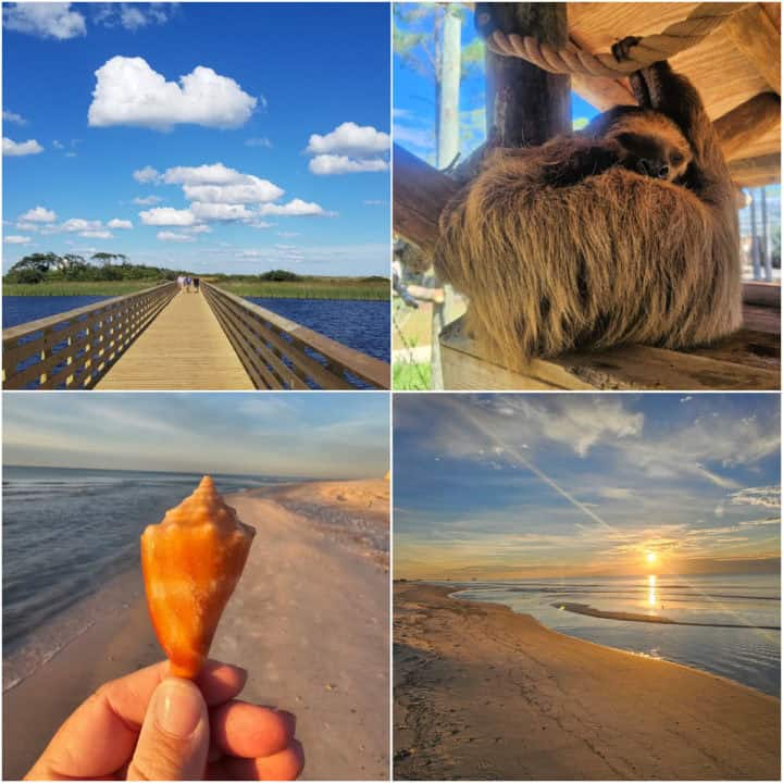 Collage of four photos with trail over water, sloth, hand holding a shell, and beach sunrise. 