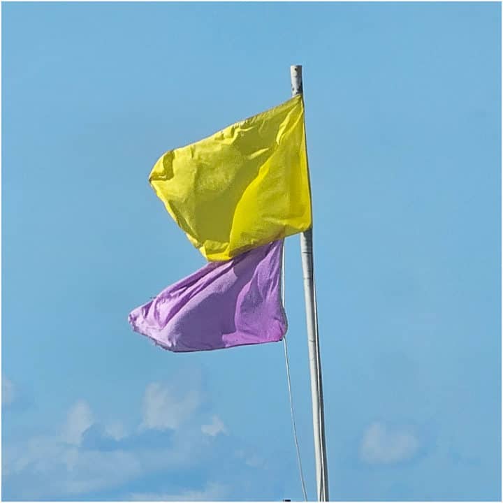 yellow and purple flags on a pole with blue skies