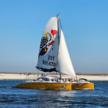 Wild Hearts printed on the yellow part of a catamaran with a large sail with a phone number and women holding a heart. People sitting on the catamaran.