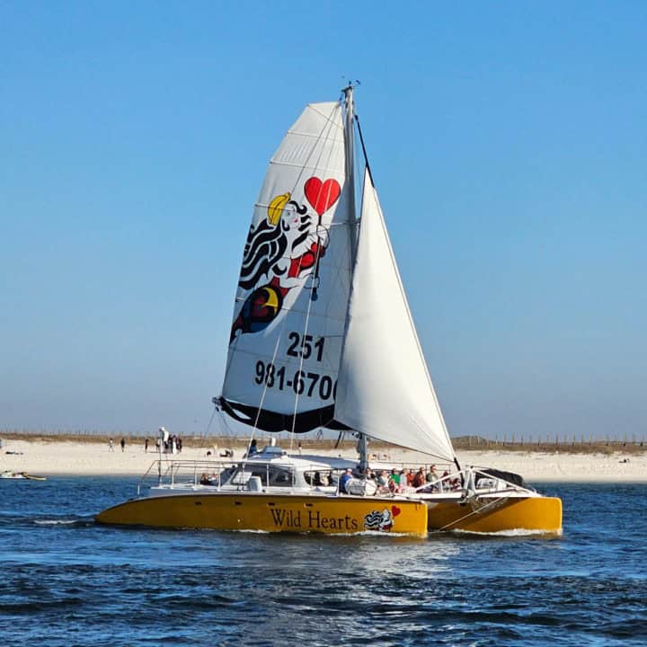 Wild Hearts printed on the yellow part of a catamaran with a large sail with a phone number and women holding a heart. People sitting on the catamaran. 