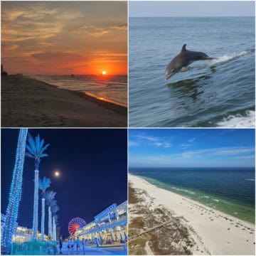 Collage of four photos with sunrise, dolphin leaping, lit up palm trees and Ferris wheel, and looking down the white sand beach