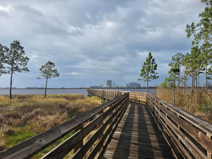 wooded boardwalk leading out onto Lake Shelby with trees next to it. 