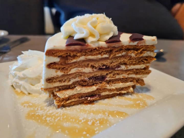 multi layered cake with whipped cream on a white plate