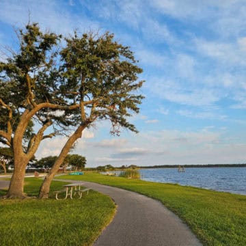 paved trail along Lake Shelby next to a large tree and picnic table