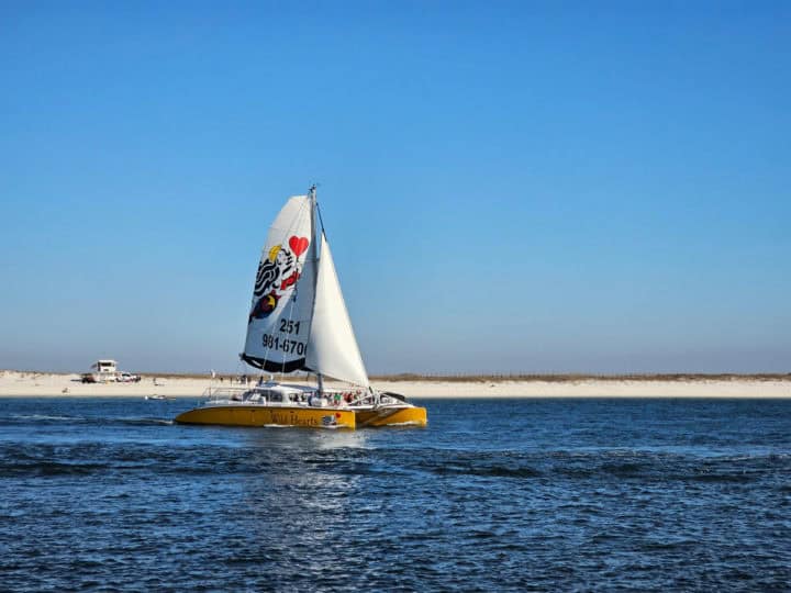 Sail Wild Hearts sailing on a sunny afternoon with the beach in the background