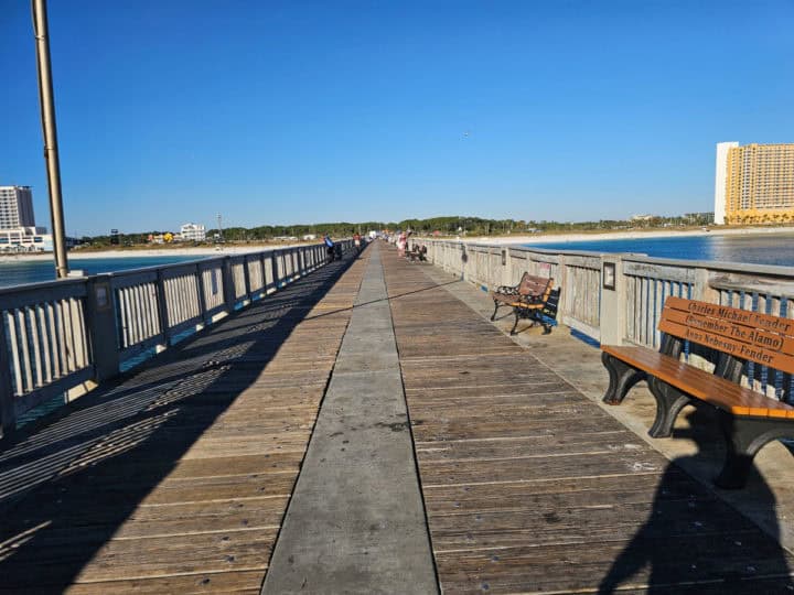 wooden benches lining the side of MB Miller Pier