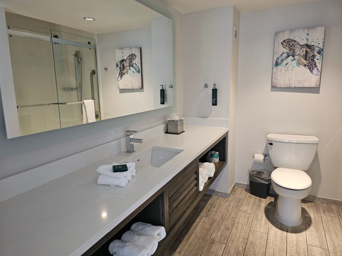 Bathroom with a turtle painting, folded towels, and large mirror