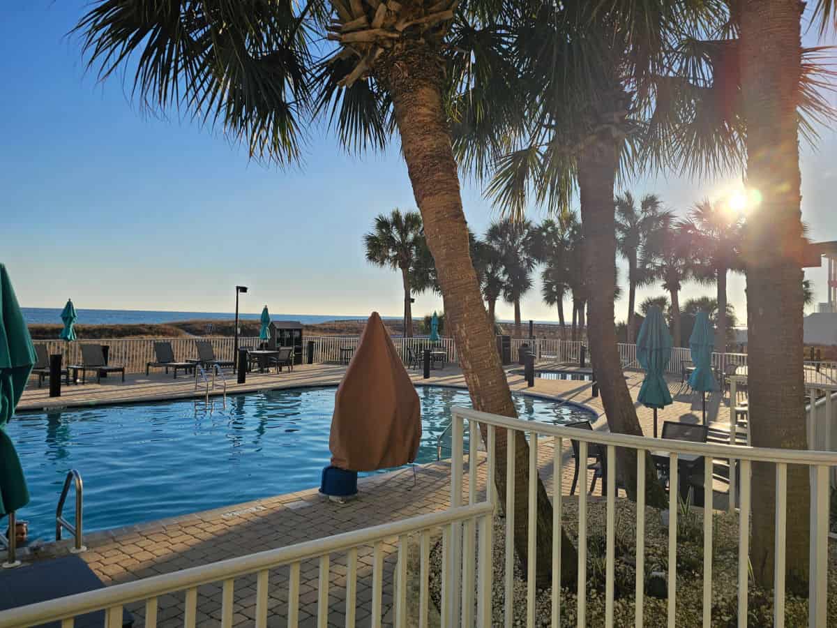 Outdoor pool surrounded by Palm Trees looking out on the Gulf of Mexico