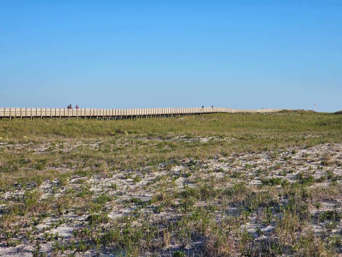 Wooden boardwalk over dune grass and sand
