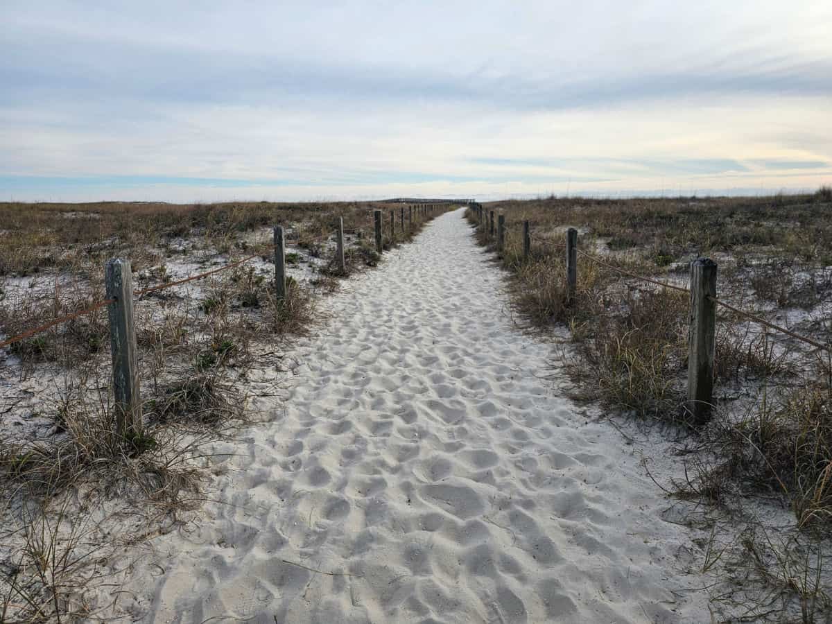 Sand trail with fence on either side of it, dune grass outside of the sand path