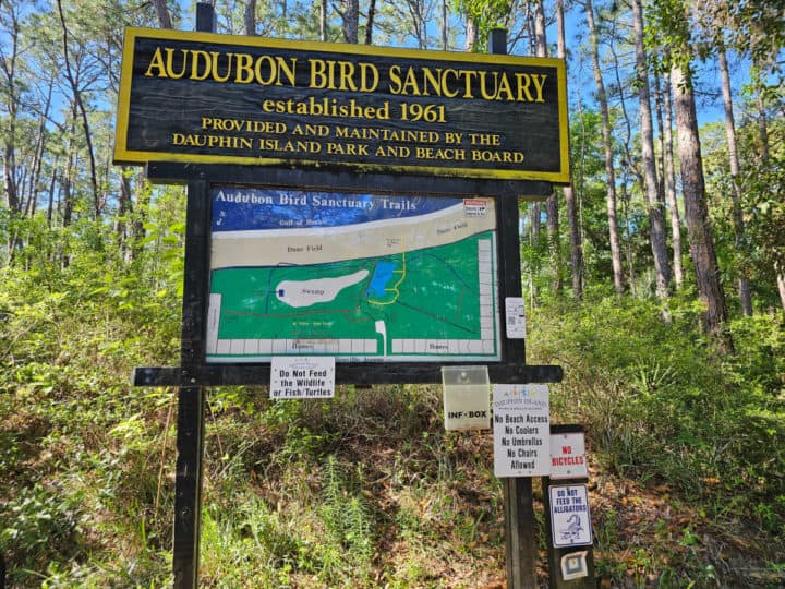 Audubon Bird Sanctuary - Dauphin Island - Gulf Coast Journeys