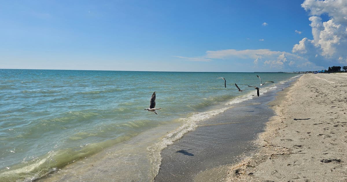 Andy Rosse Lane Beach Park - Captiva Island - Gulf Coast Journeys
