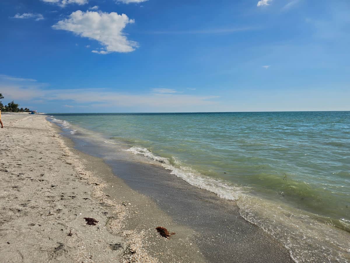 sandy beach with calm Gulf waters, blue skies with a single cloud at Andy Rosse beach park