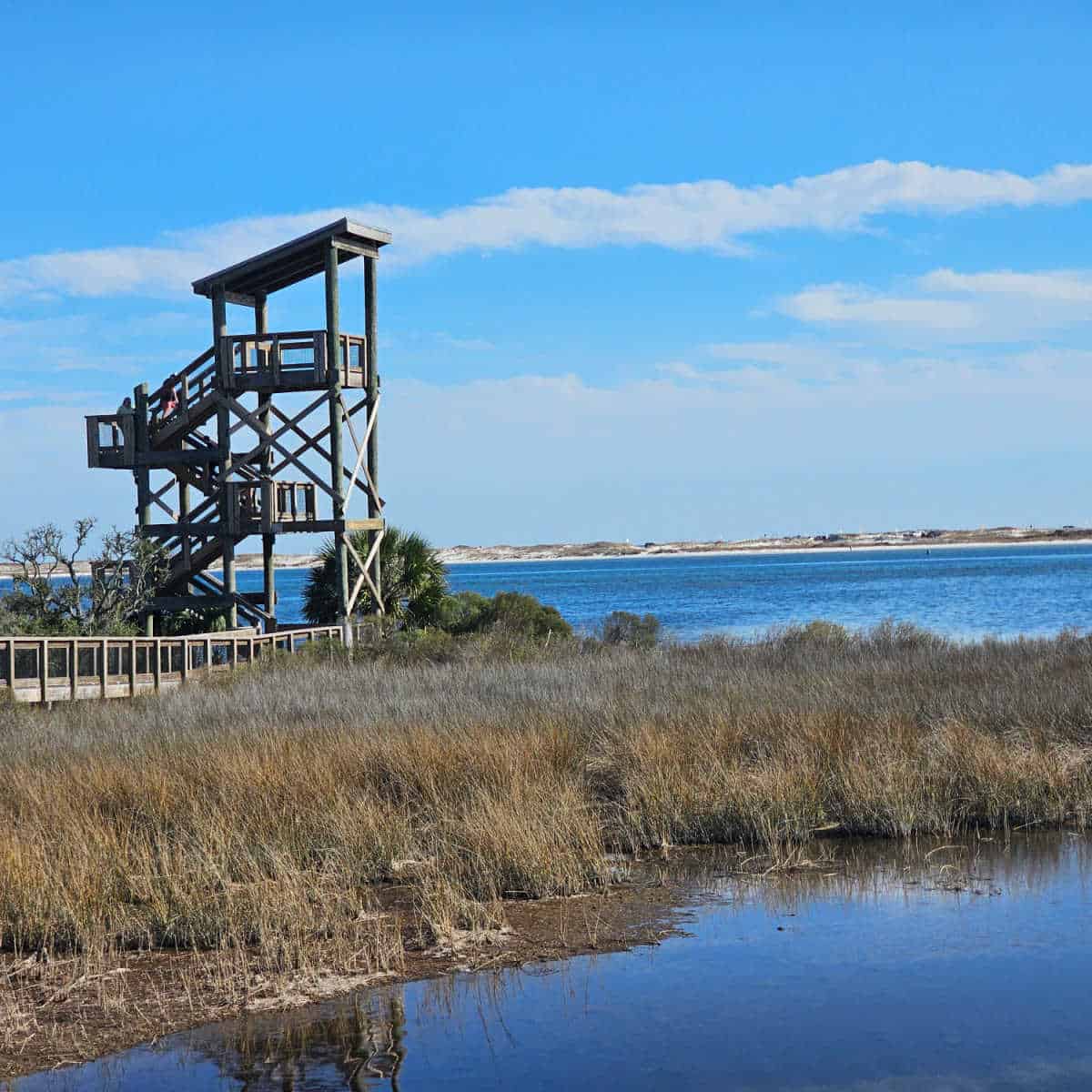 observation tower over the water and marsh lands