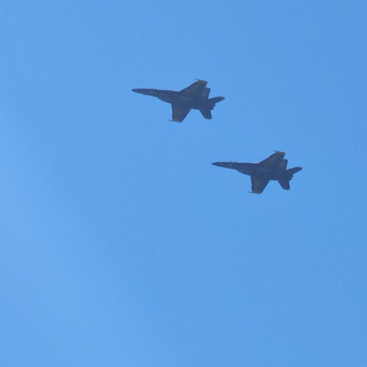 Blue Angels flying overhead