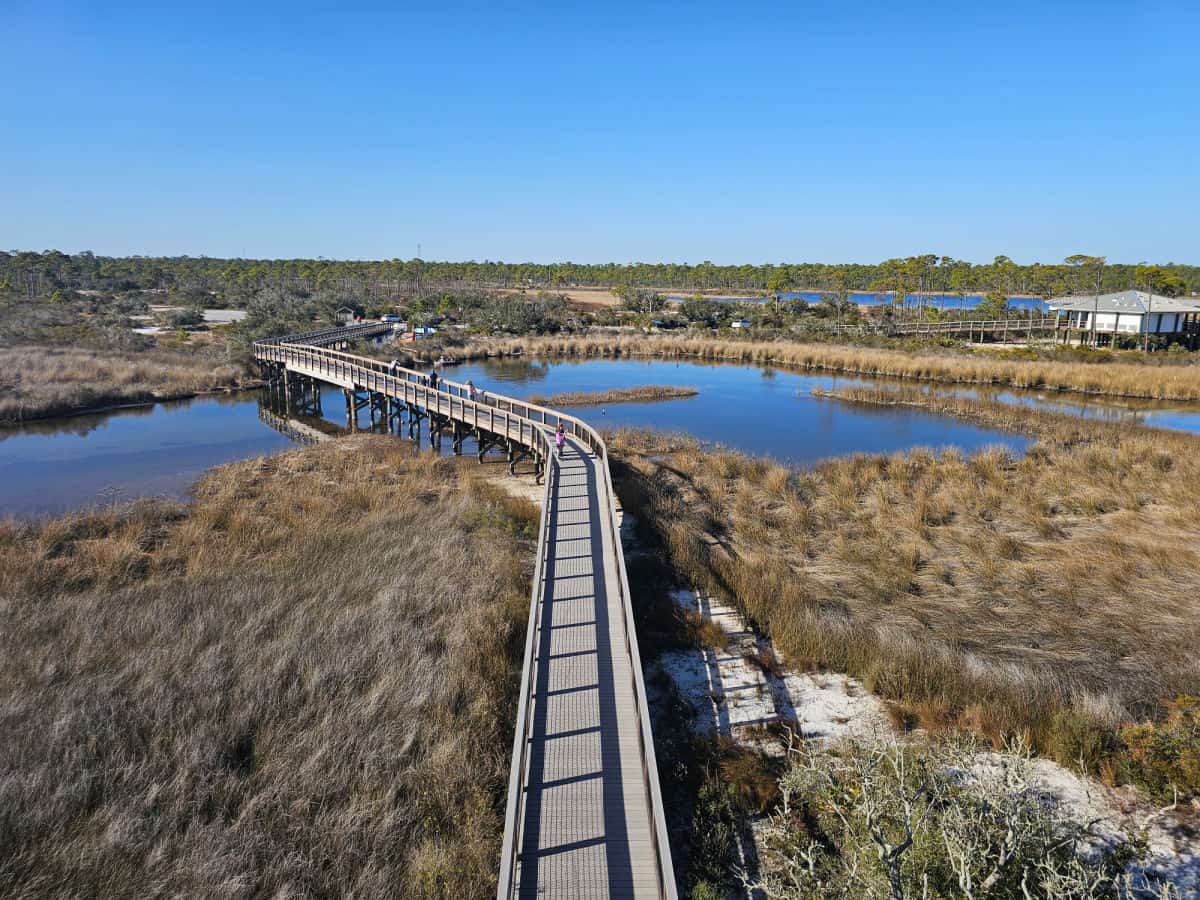 Boardwalk through marshland in Big Lagoon State Park