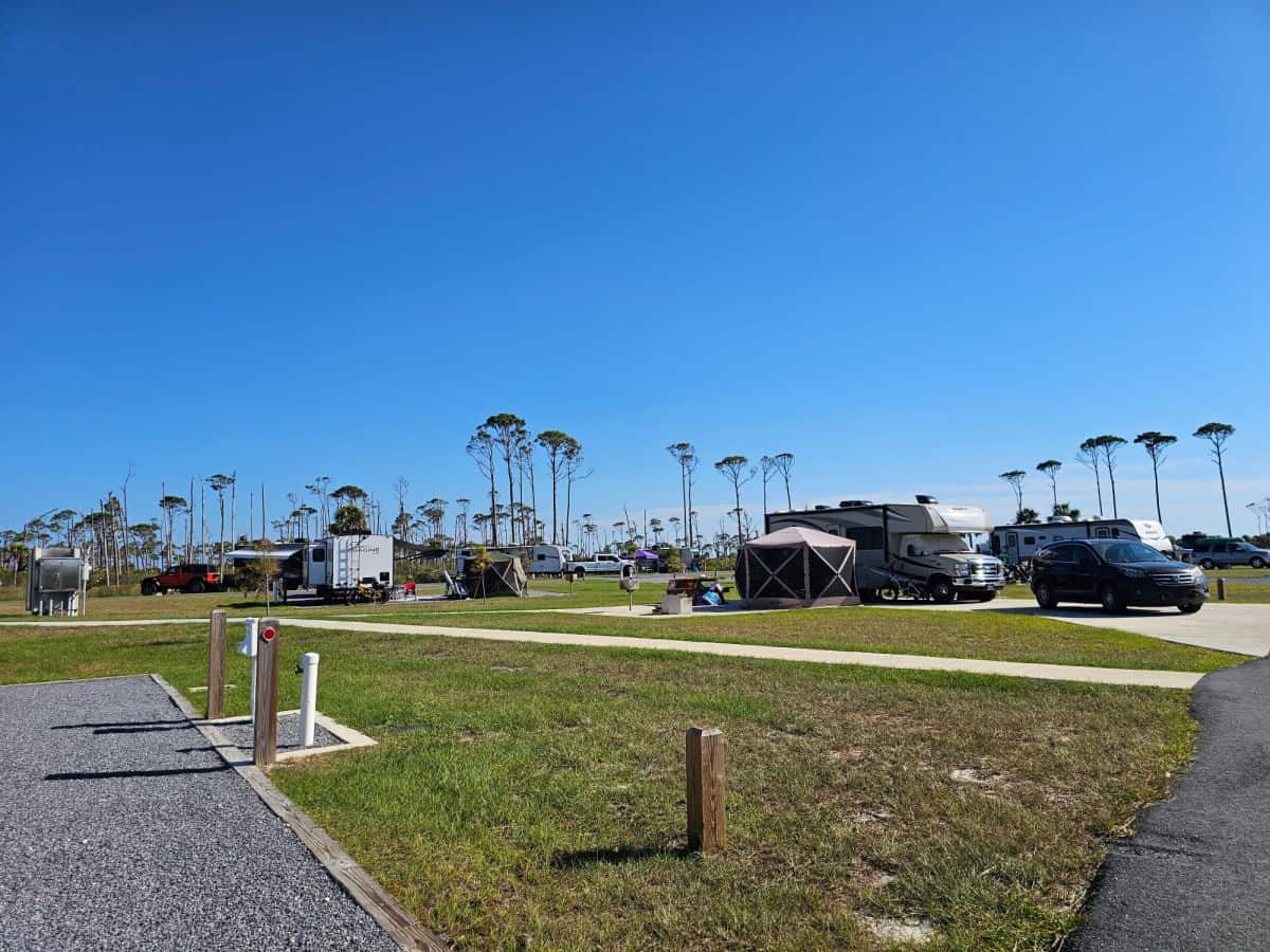 RVs and tents in a campground with trees in the distance