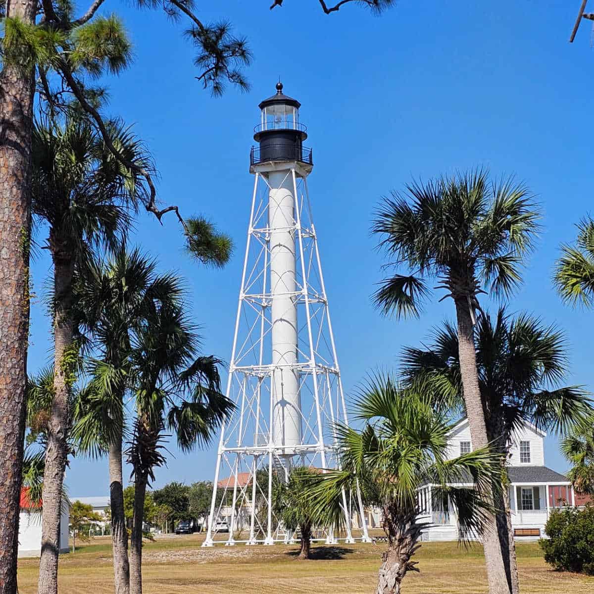 cape san blas lighthouse through the trees