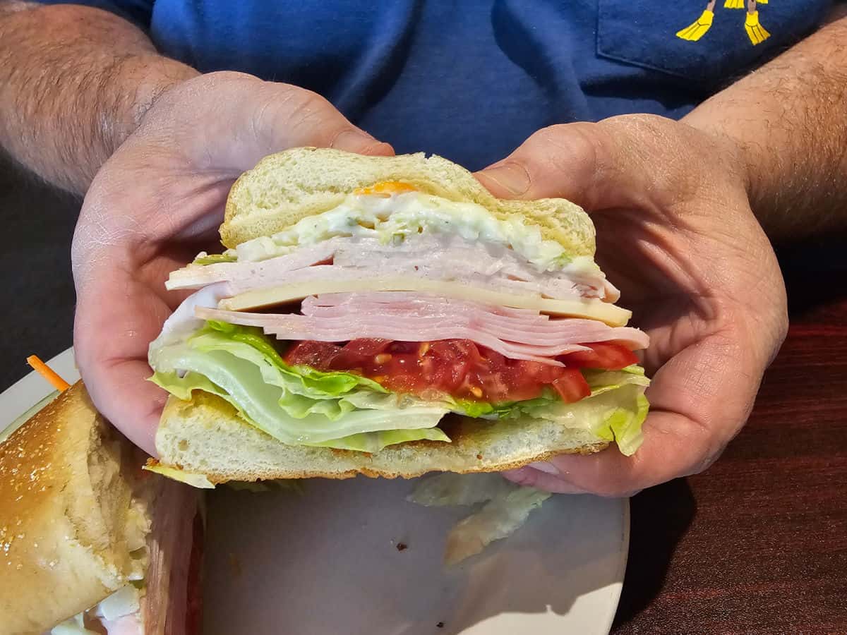 hand holding a dagwood sandwich