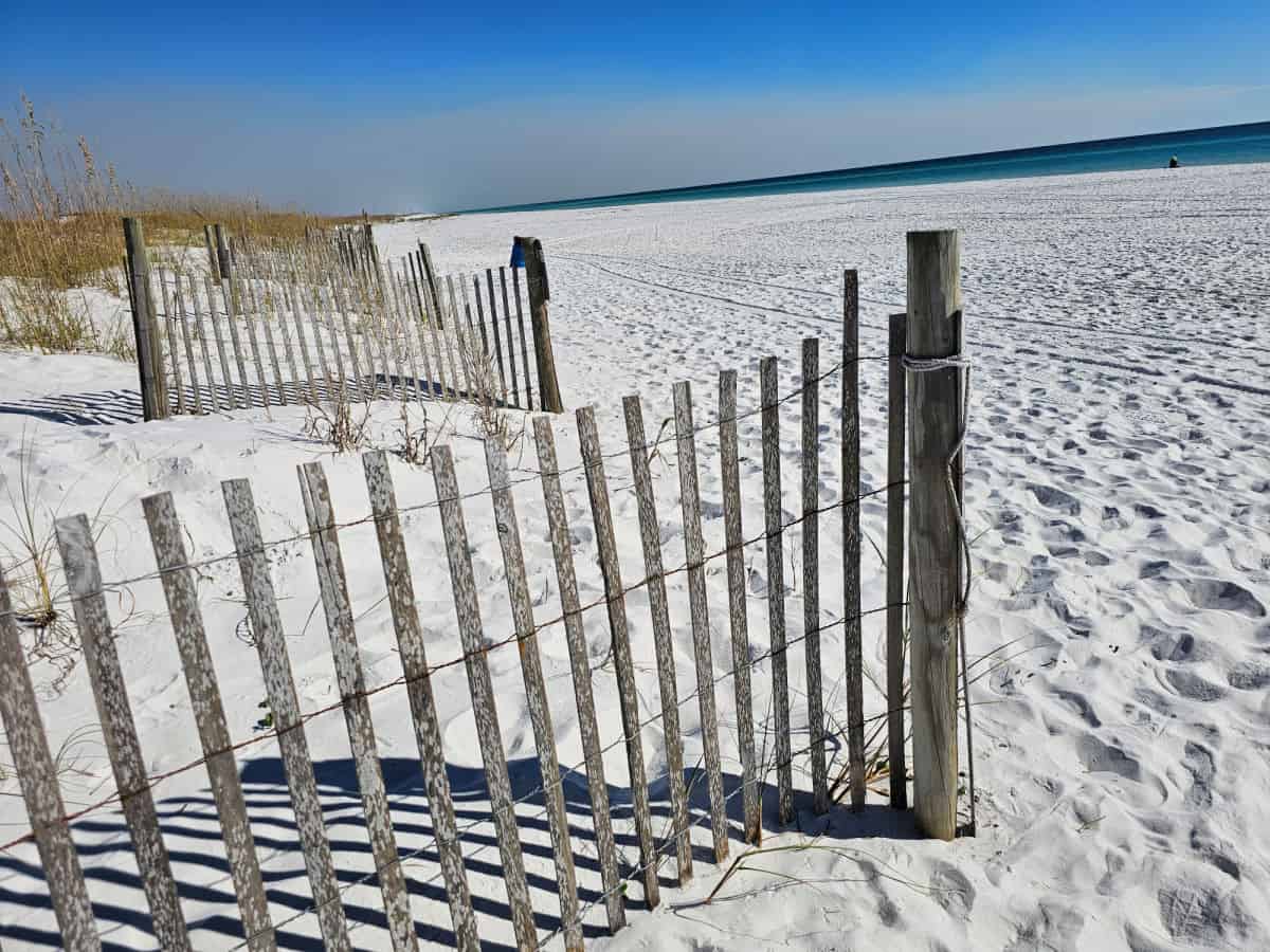 White sand beach with dune fences next to the sand edge