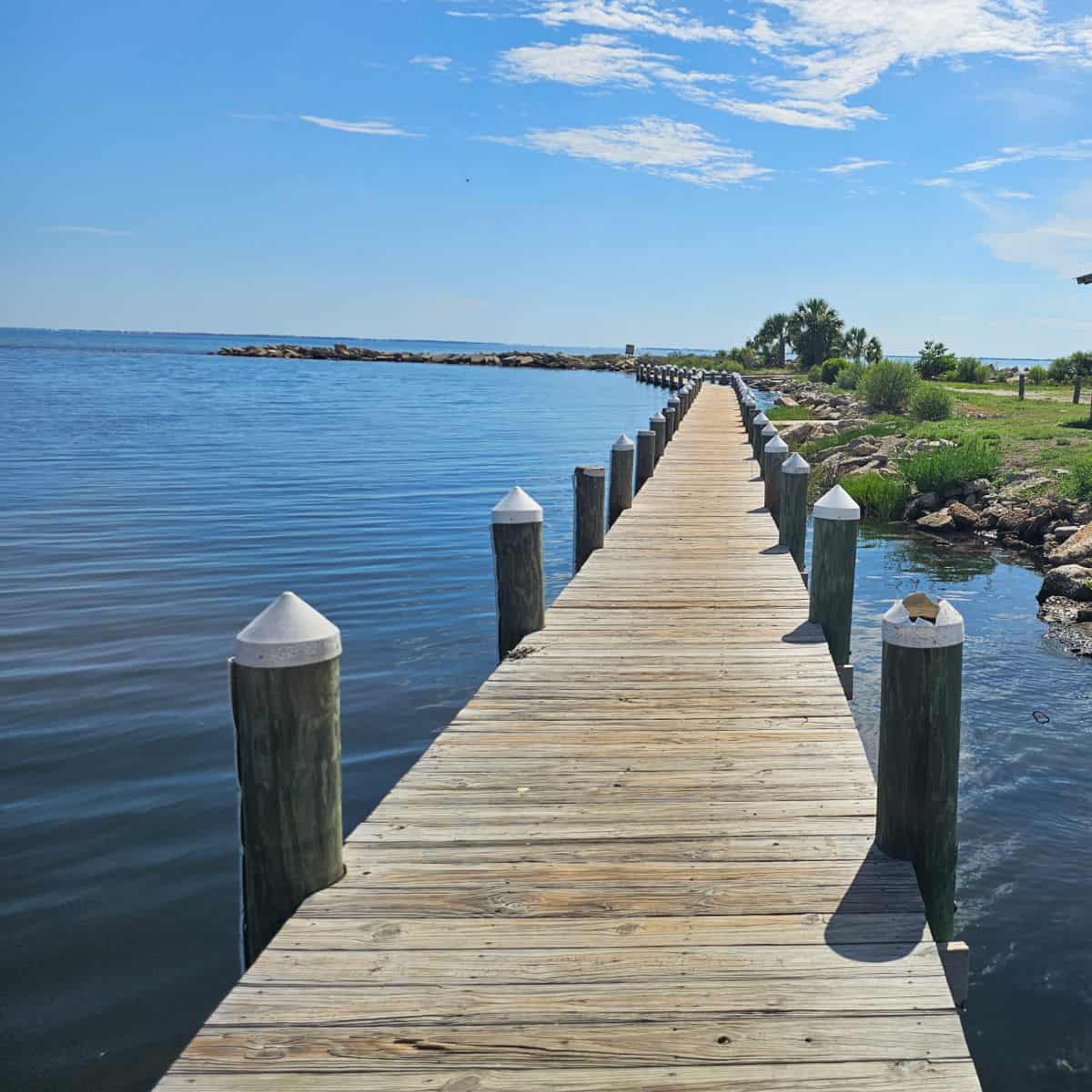 wooden walkway along the water in Frank Pate Park