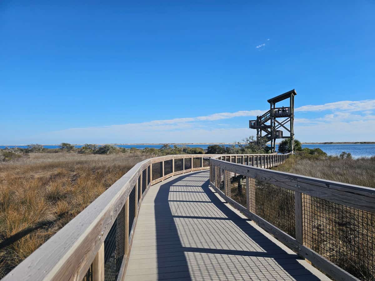 boardwalk leading to stairs up to an observation tower