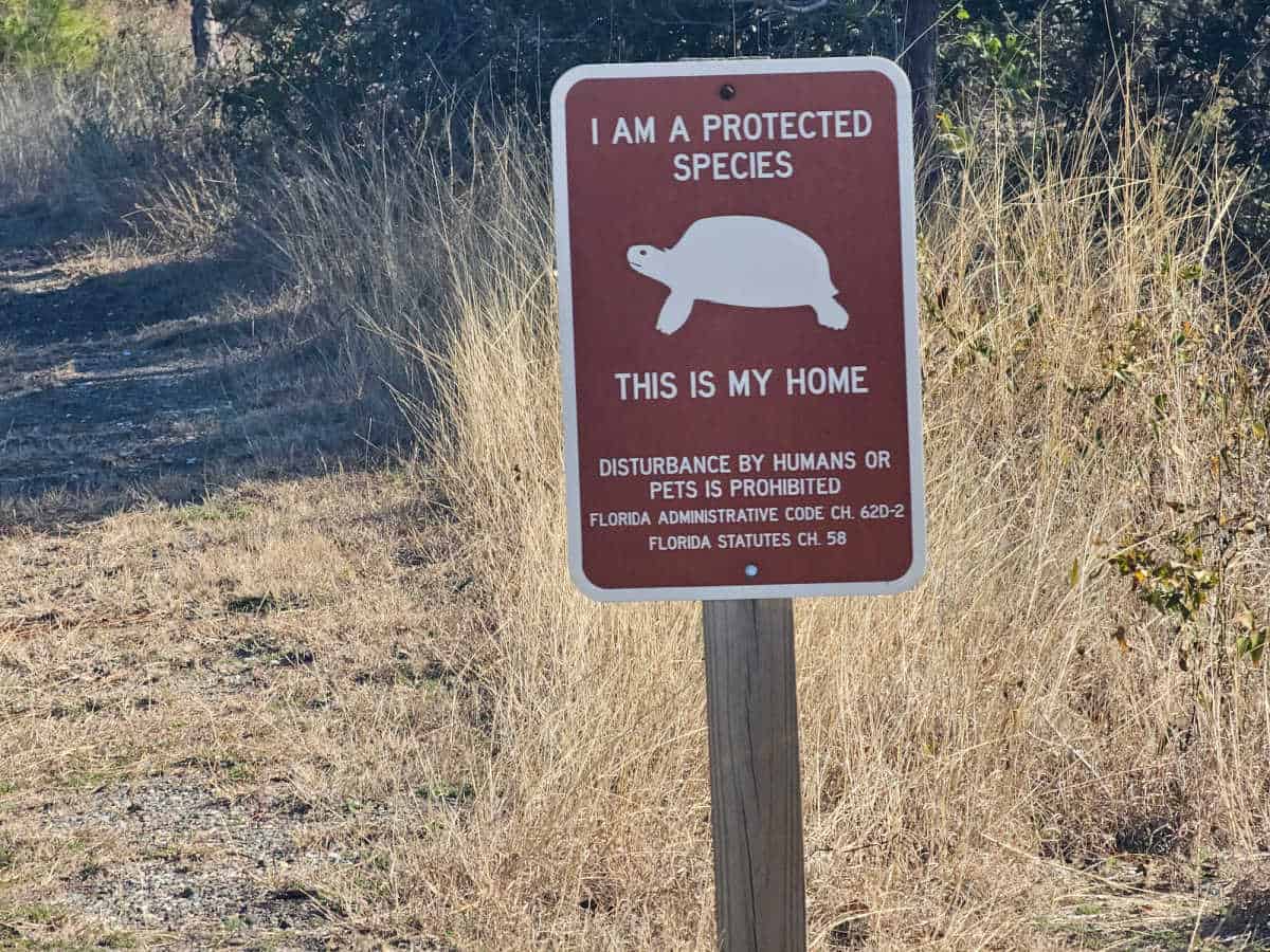 Turtle sign about protected species