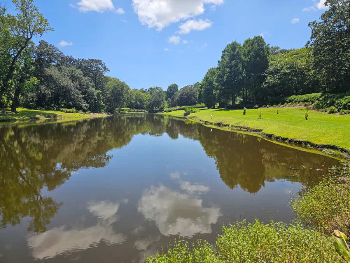 Mirror lake with clouds reflecting on the water, grass on both sides with trees