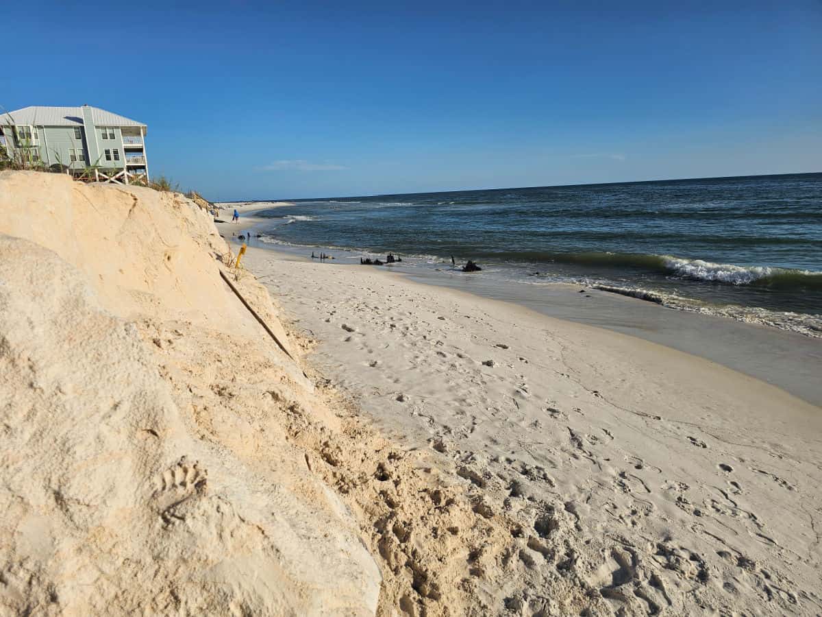steep sand cliff leading down to a sandy beach and the Gulf of Mexico
