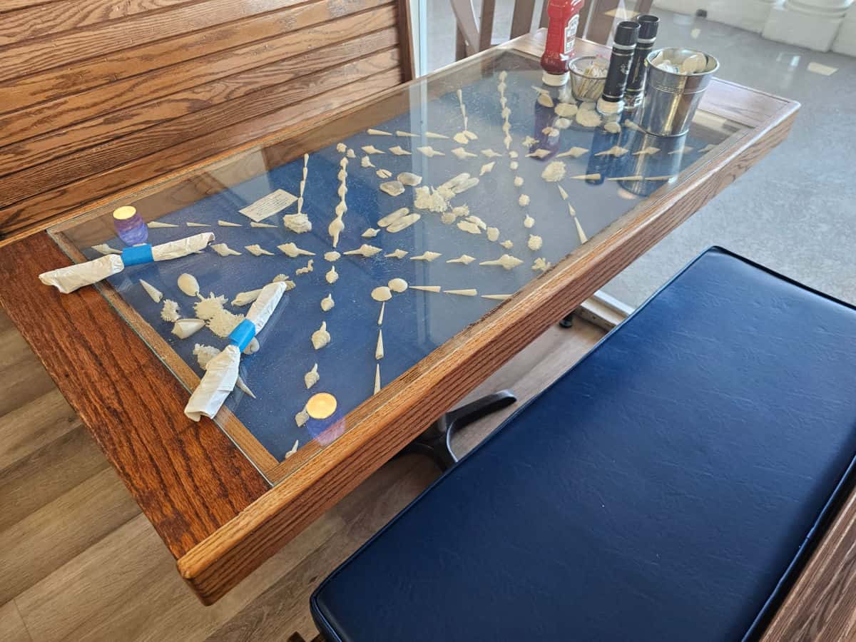 table with shells inside next to a blue bench