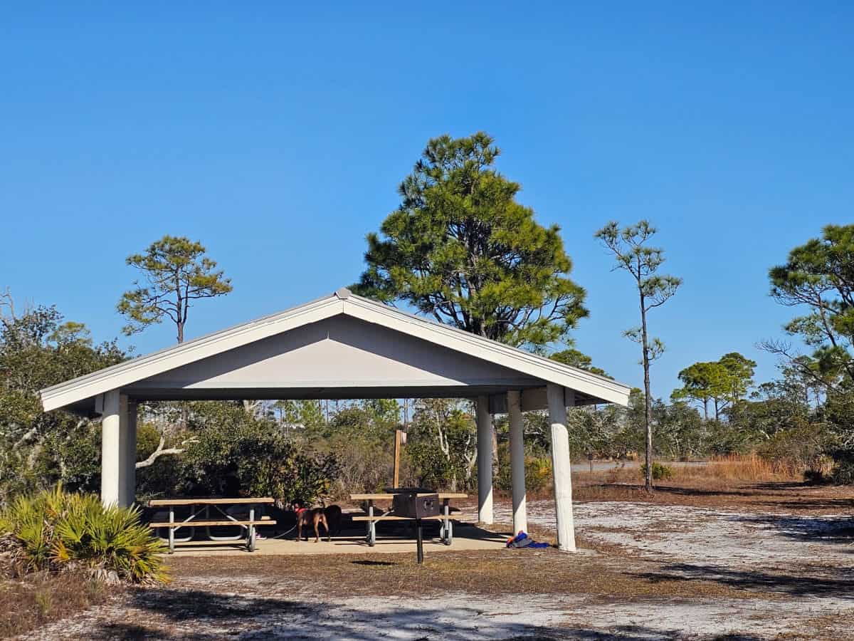 covered picnic shelter with picnic tables, tables behind it