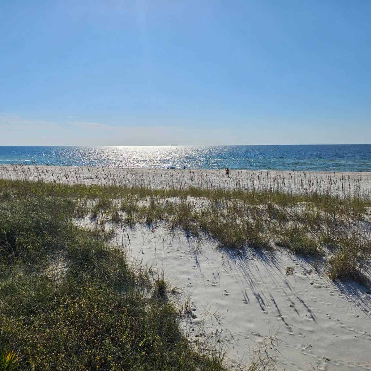 Gulf of Mexico with sun shining on it in the distance over sand dunes with dune grass