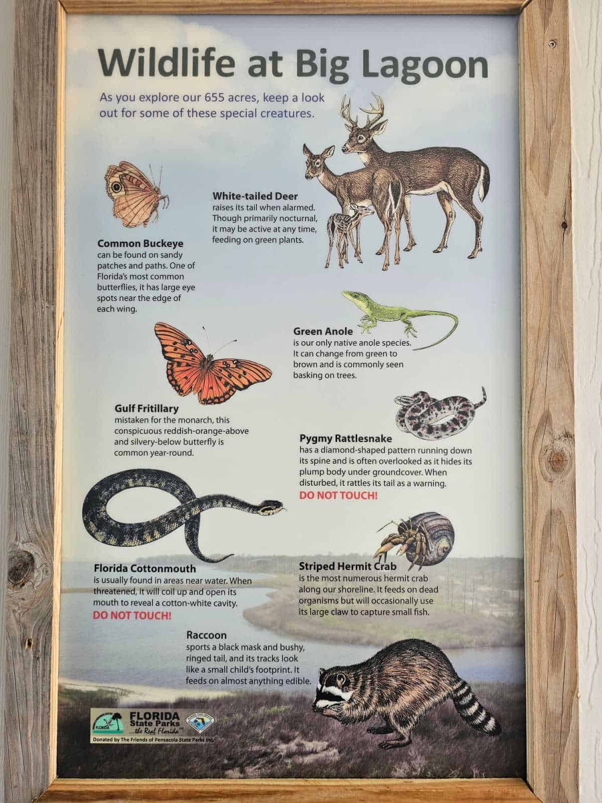Wildlife at Big Lagoon poster with deer, snakes, and butterflies
