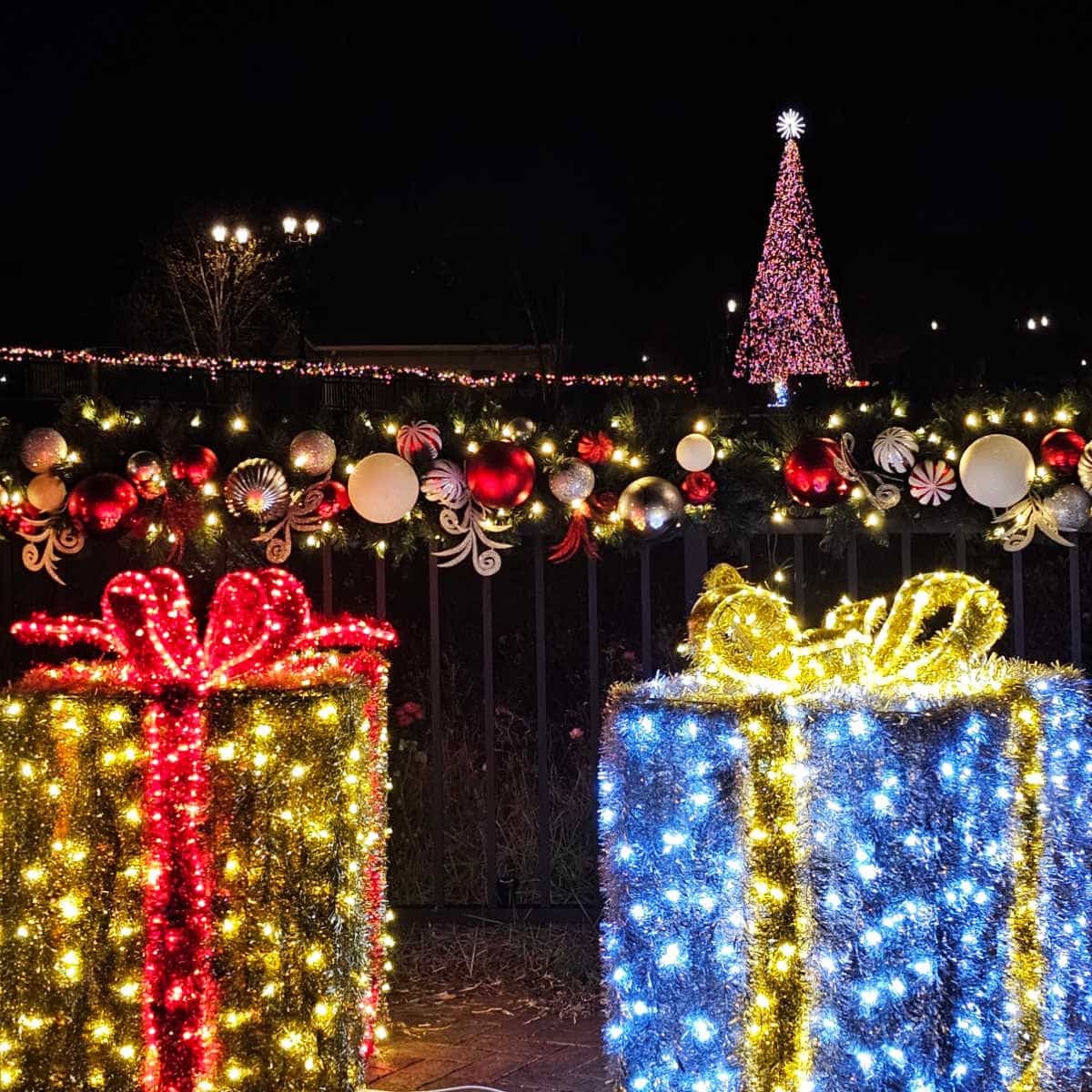 Lighted Christmas presents with the OWA Holiday tree in the background
