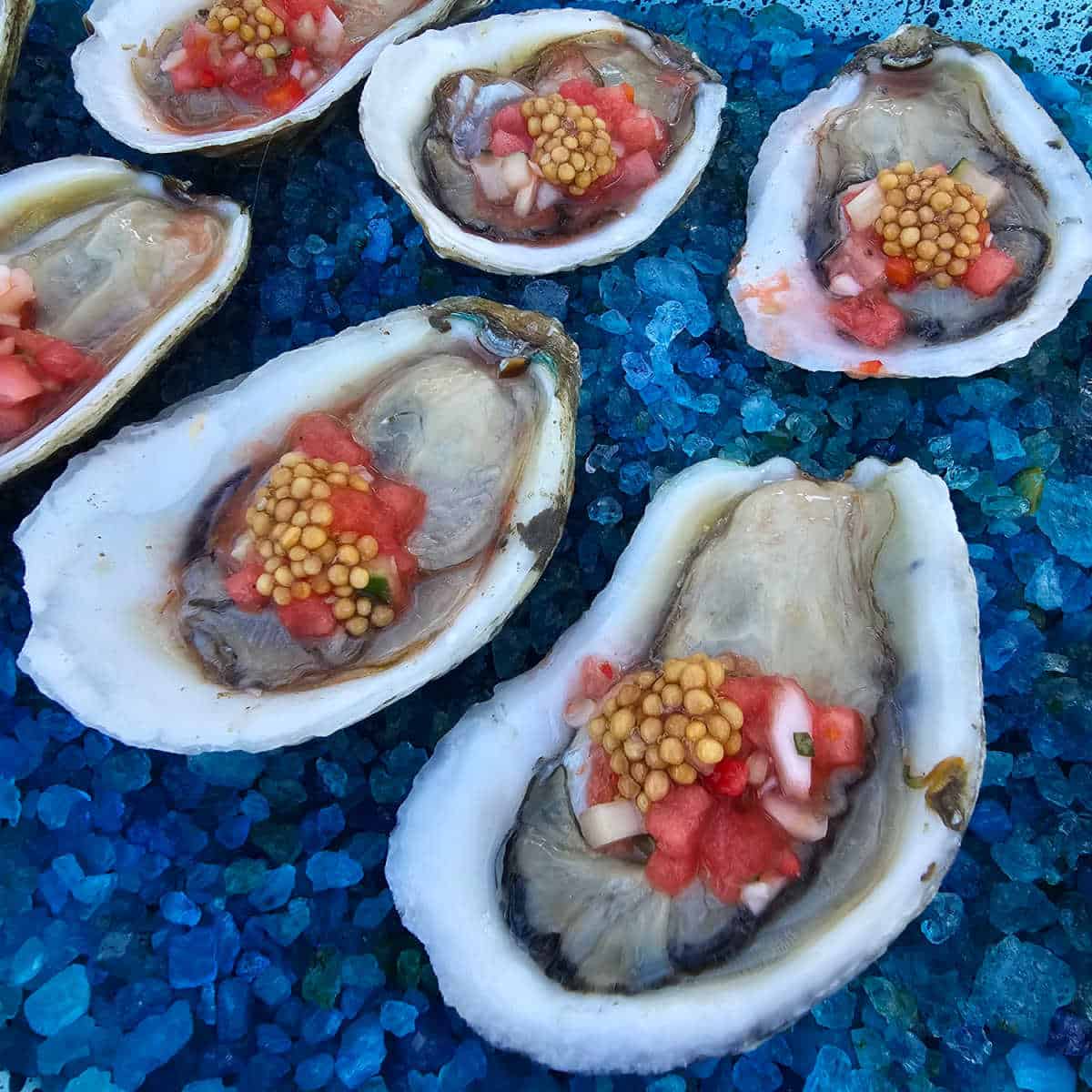 raw oysters on a bed of blue rocks