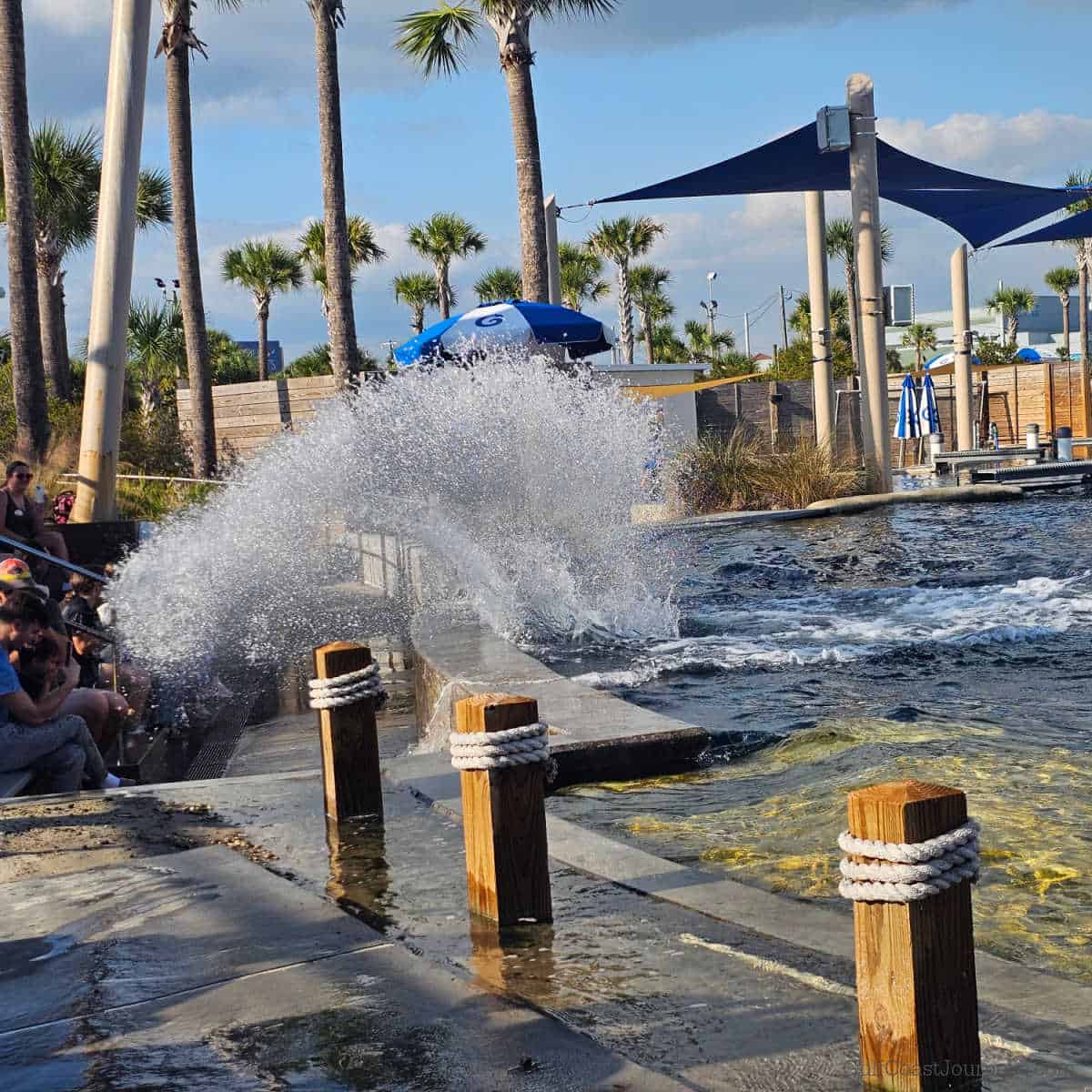 dolphin splash zone with people on bleacher seats about to get wet