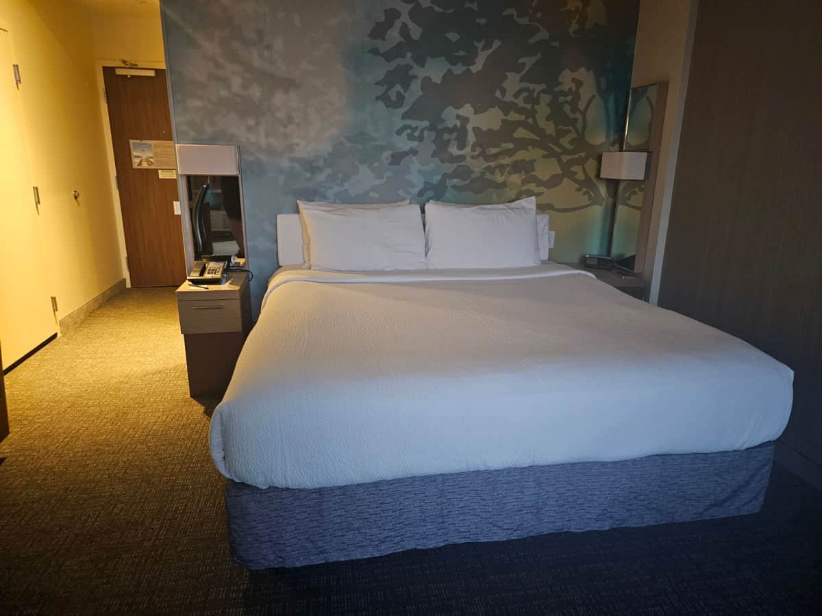 king size bed with nightstands on either side, blue mural wall paper behind the bed, light on in the hallway to the hotel door