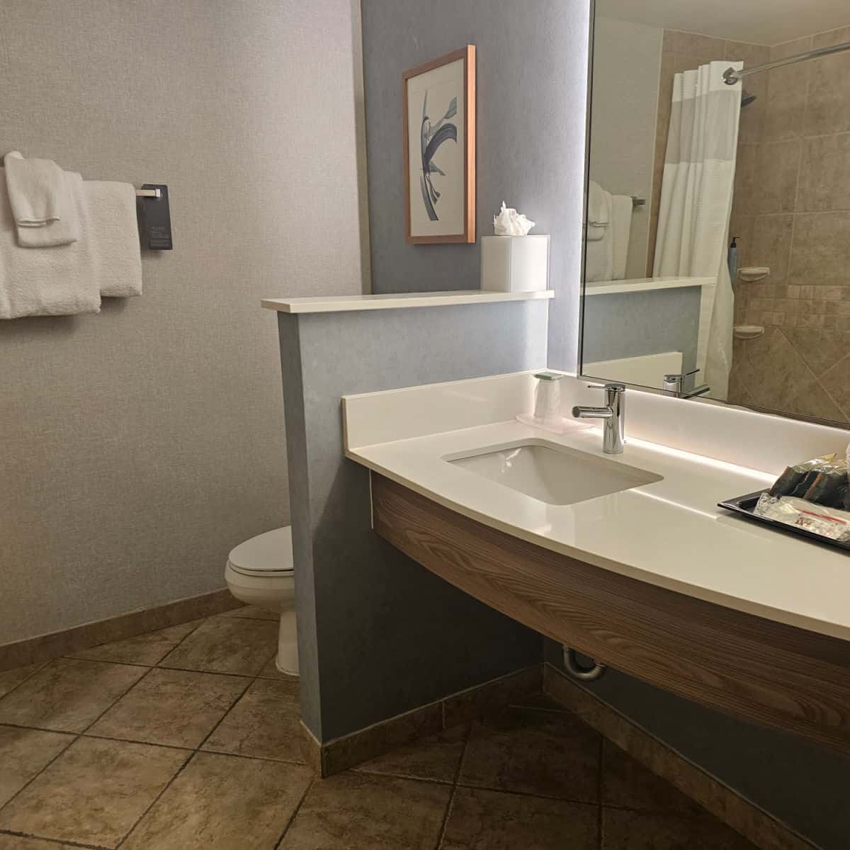 King Guest Room bathroom with counter, single sink, and toilet