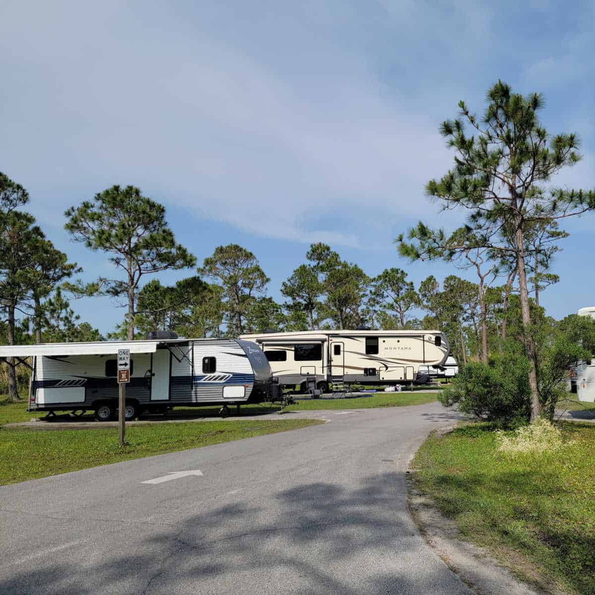 RVs in a campground with trees around them on a blue sky day with a few clouds