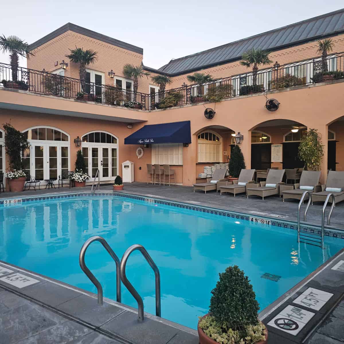Rooftop pool with gorgeous building around it, lounge chairs, palm trees, and plants