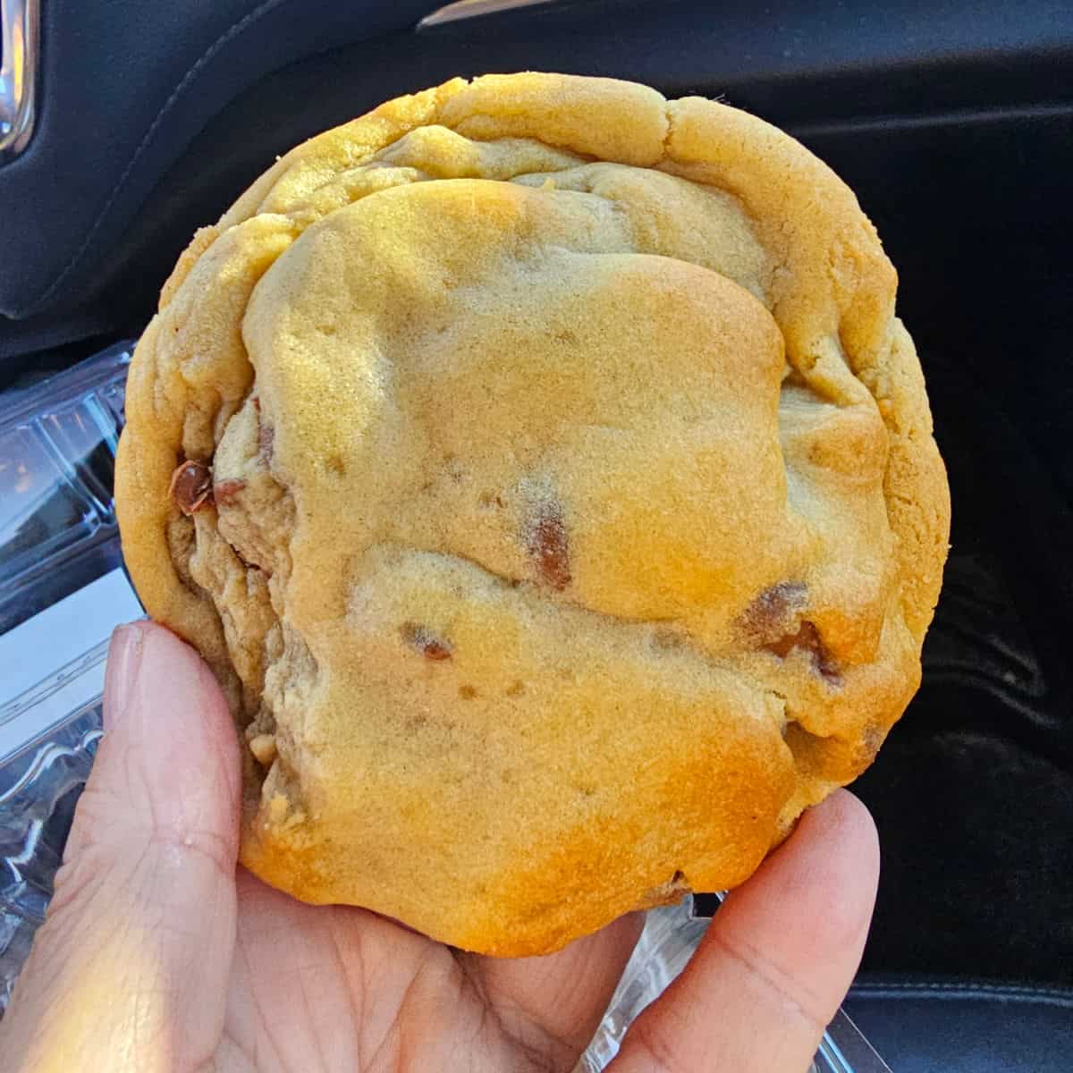 hand holding a chocolate chip cookie