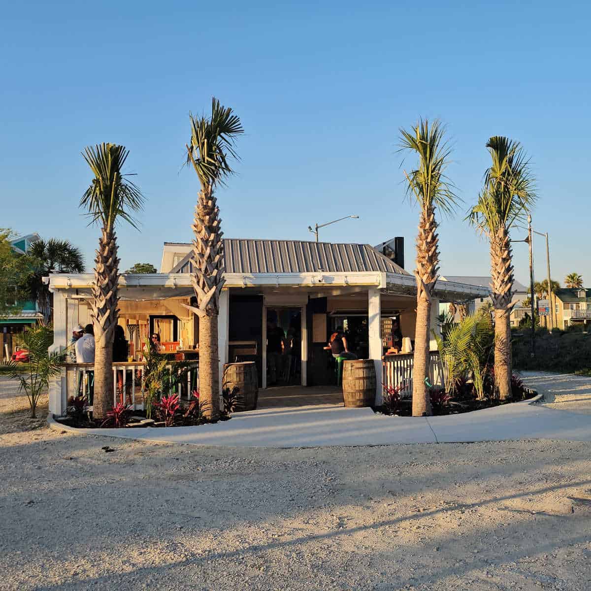 The Tap & Still exterior with a palm trees on a blue sky day